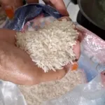 Marak Isu Beras Oplosan, Pedagang Nasi di Jember Beralih ke Beras Eceran