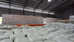 Bulog Jember Tegaskan Seluruh Beras Bebas dari Praktik Oplosan