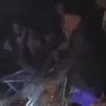 Dramatis, Sapi Indukan Tercebur ke Sumur Sedalam 45 Meter di Jember