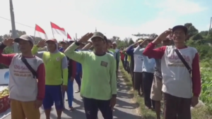 Petani Jeruk di Jember Hentikan Panen untuk Gelar Upacara HUT ke-80 RI di Kebun