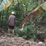 Kera Liar Serang Warga di Jember, Enam Orang Luka-Luka