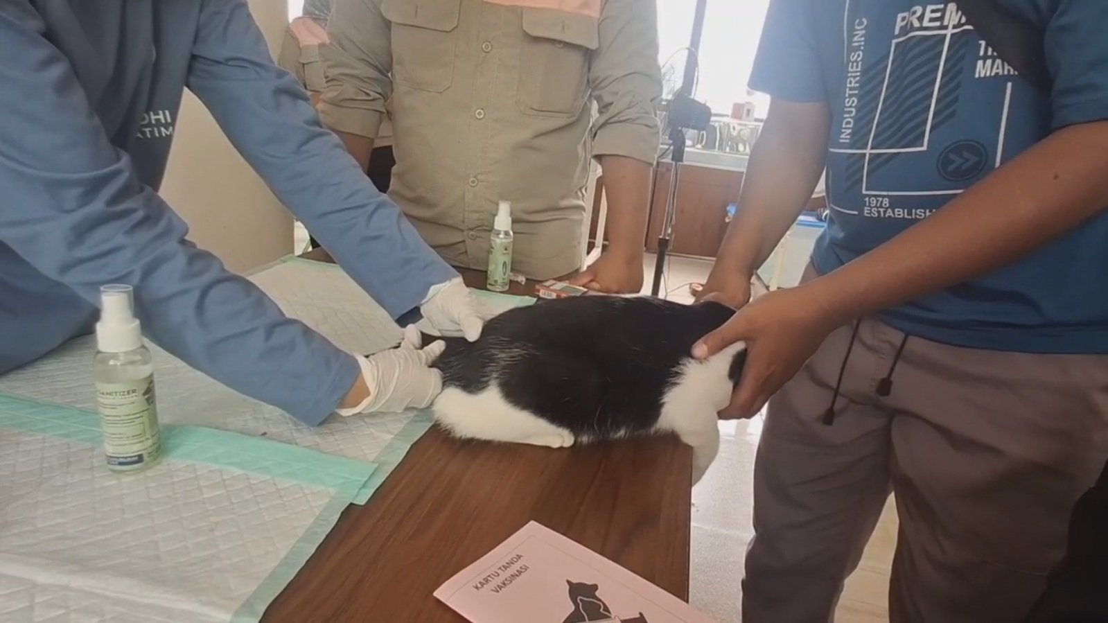 Jember Gelar Vaksinasi Rabies Massal untuk Hewan