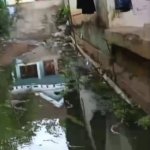 Limbah Cair Berbau Menyengat Cemari Permukiman Warga Sumberwringin, Jalan dan Pemukiman Tergenang