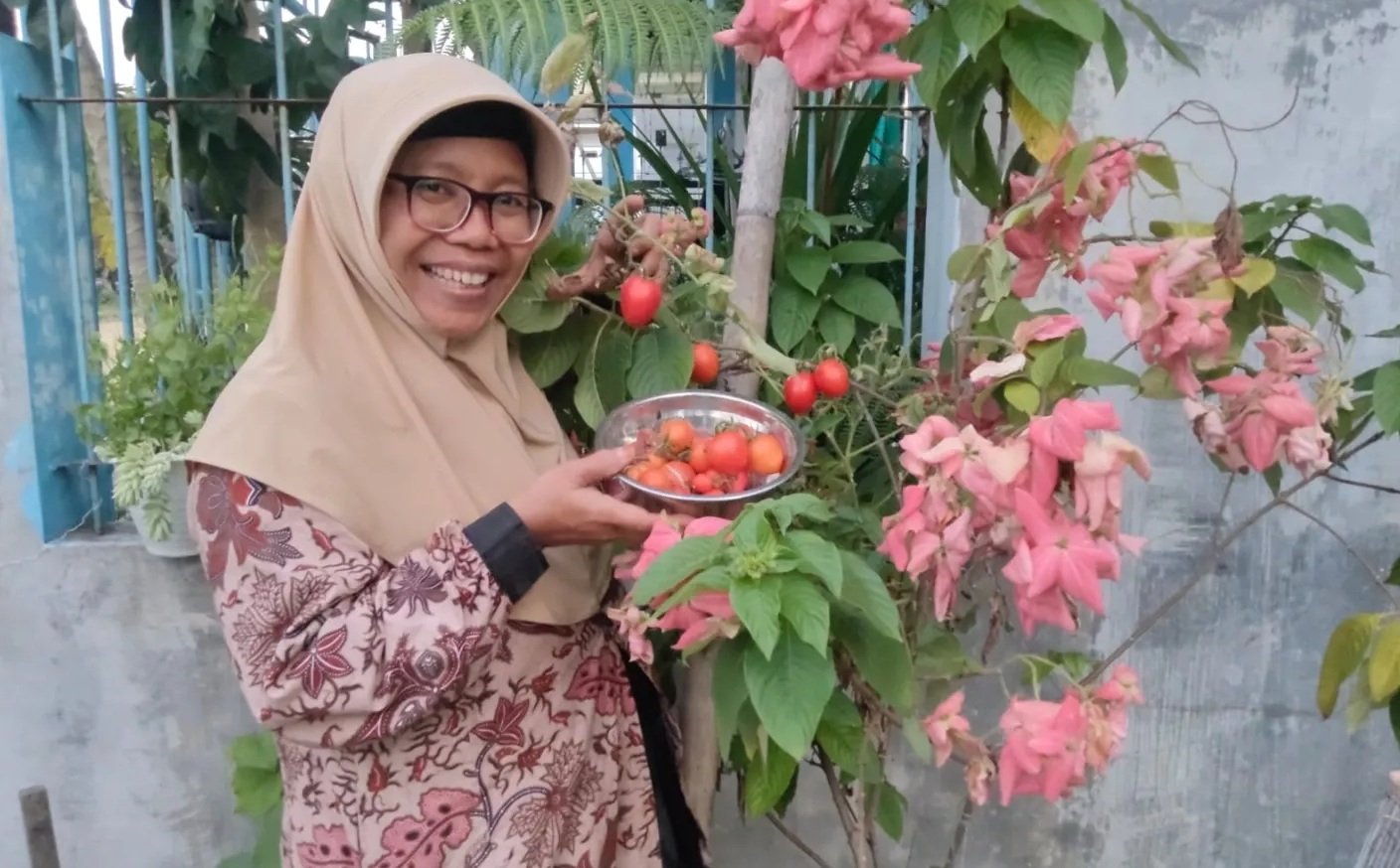 Inovasi Olahan Tomat, Solusi Saat Harga Anjlok