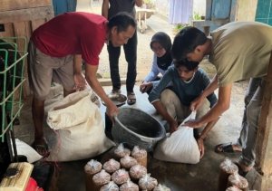 Inovasi Bonggol Jagung Bantu Mantan Penebang Hutan