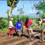 Bondowoso Terima Rp81,2 Miliar Dana Pusat, Fokus Sejahterakan Petani dan Tingkatkan Kesehatan Publik