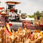 Panen Raya Kuartal III Polri Hasilkan 751 Ribu Ton Jagung