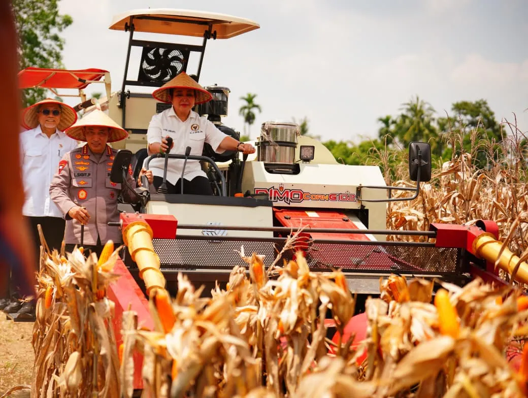 Panen Raya Kuartal III Polri Hasilkan 751 Ribu Ton Jagung