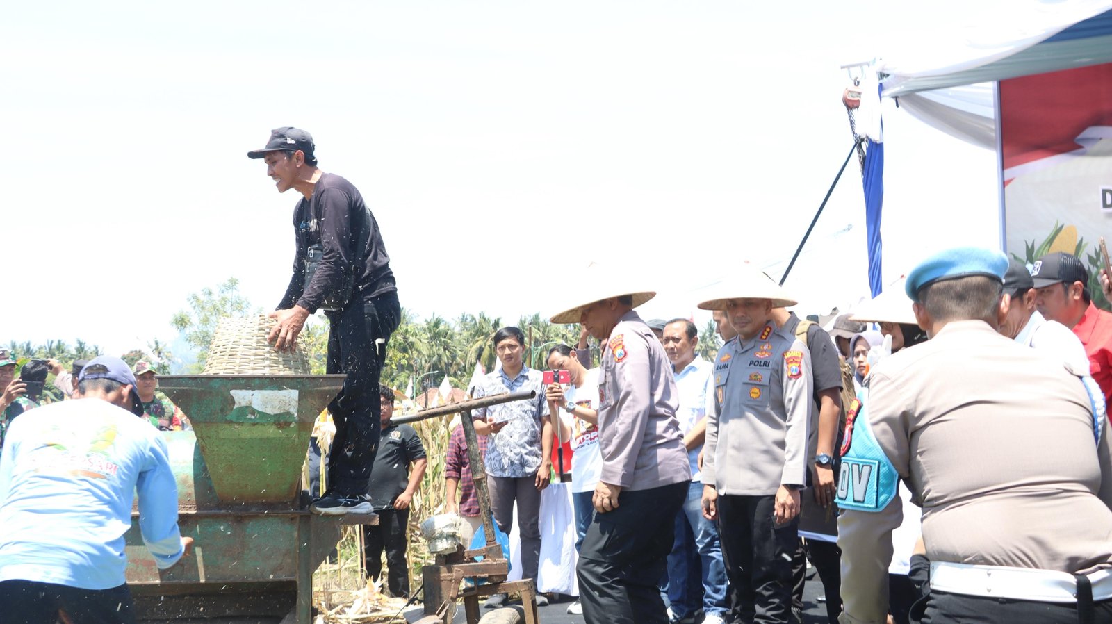 Kapolda Jatim dan Bupati Banyuwangi Panen Raya Jagung