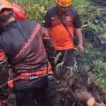 Puluhan Pohon Tumbang, Rumah Warga Rusak Diterjang Angin