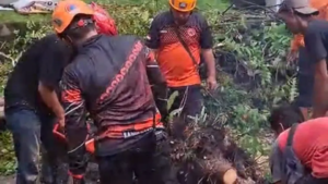 Puluhan Pohon Tumbang, Rumah Warga Rusak Diterjang Angin