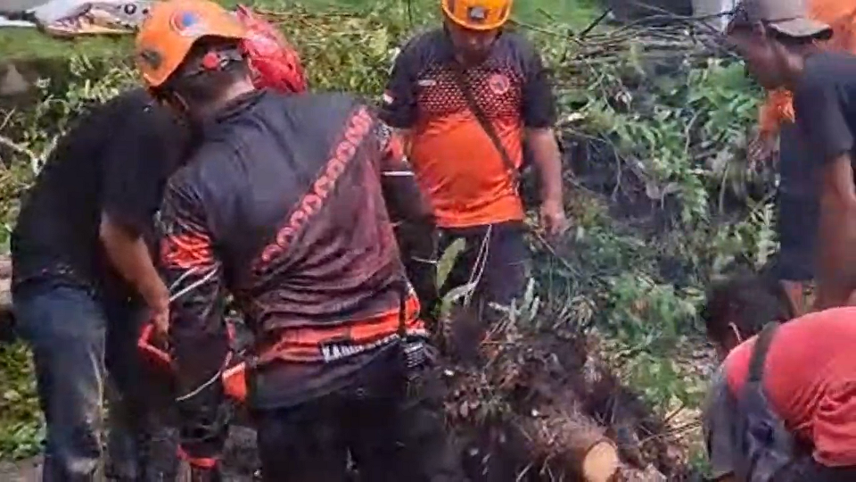 Puluhan Pohon Tumbang, Rumah Warga Rusak Diterjang Angin
