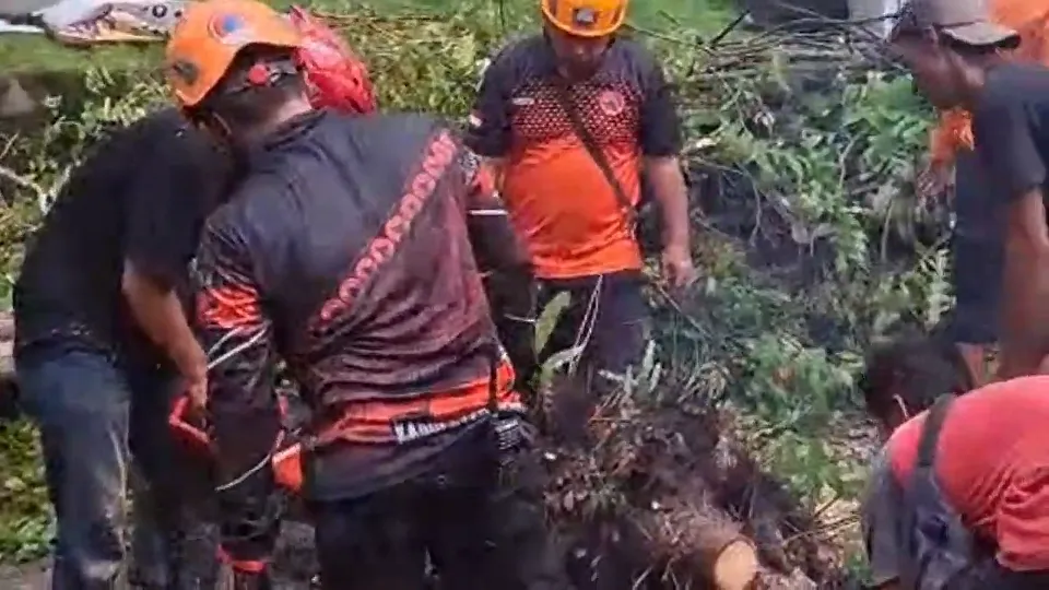 Puluhan Pohon Tumbang, Rumah Warga Rusak Diterjang Angin