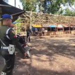 Polisi, TNI, dan Tokoh Agama Gerebek Arena Judi Sabung Ayam di Jember