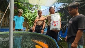 Siswa SPN Tawarkan Solusi Digital Tingkatkan Pemasaran UMKM Koi