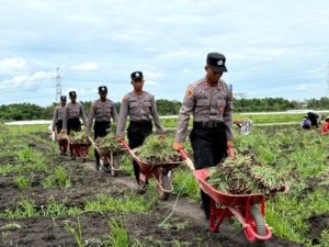Siswa SPN Polda Jatim Bantu Petani Bawang Merah di Nganjuk