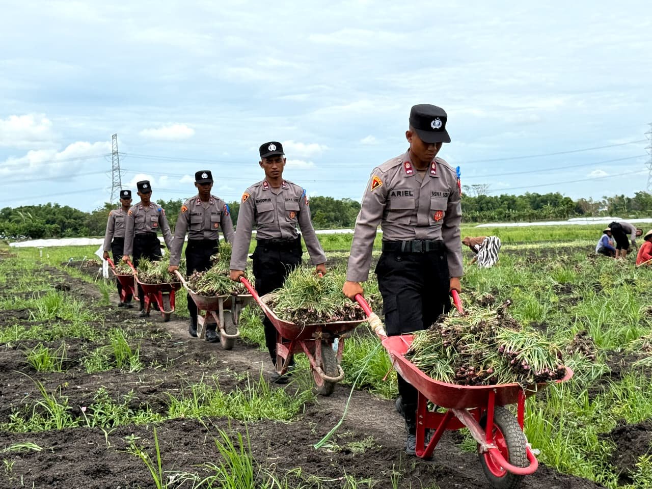 Siswa SPN Polda Jatim Bantu Petani Bawang Merah di Nganjuk