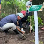 PTPN I Tanam 293 Hektare Kopi Arabika Perkuat Republik Kopi