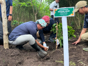PTPN I Tanam 293 Hektare Kopi Arabika Perkuat Republik Kopi
