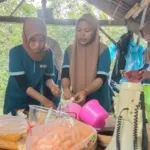 Hutan Karet Gembleng KSR PMI ITS Mandala Jember