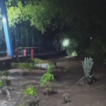 Detik-detik Jembatan Gantung Jubung Jember Putus Diterjang Banjir