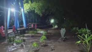 Detik-detik Jembatan Gantung Jubung Jember Putus Diterjang Banjir