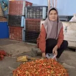 Cuaca Buruk Picu Kenaikan Harga Cabai dan Bawang di Jember Hingga 100%