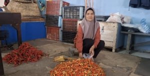 Cuaca Buruk Picu Kenaikan Harga Cabai dan Bawang di Jember Hingga 100%