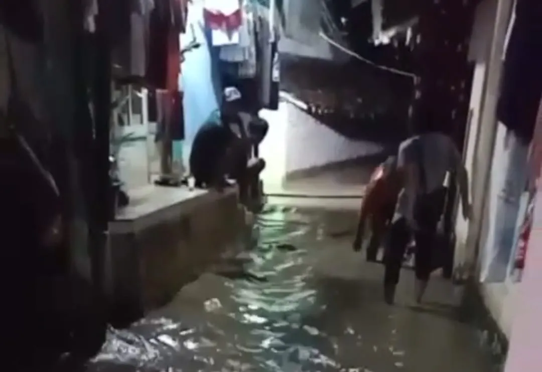 Banjir Rendam Bantaran Sungai Bedadung Jember