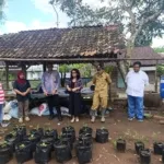 Desa Suci Jember Ubah Krisis Jadi Solusi Pangan, Kemenko Pangan Beri Apresiasi