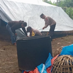 Polres Malang Bongkar Arena Sabung Ayam di Tengah Kebun Tebu