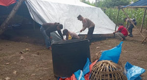 Polres Malang Bongkar Arena Sabung Ayam di Tengah Kebun Tebu