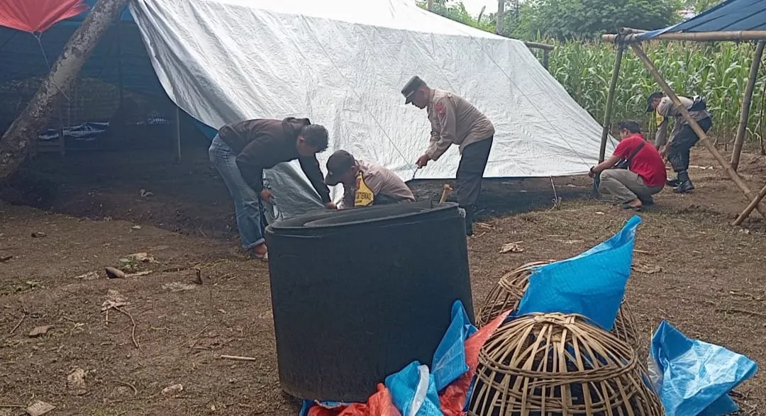 Polres Malang Bongkar Arena Sabung Ayam di Tengah Kebun Tebu