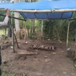 Polres Malang Bongkar Arena Judi Sabung Ayam di Kalipare