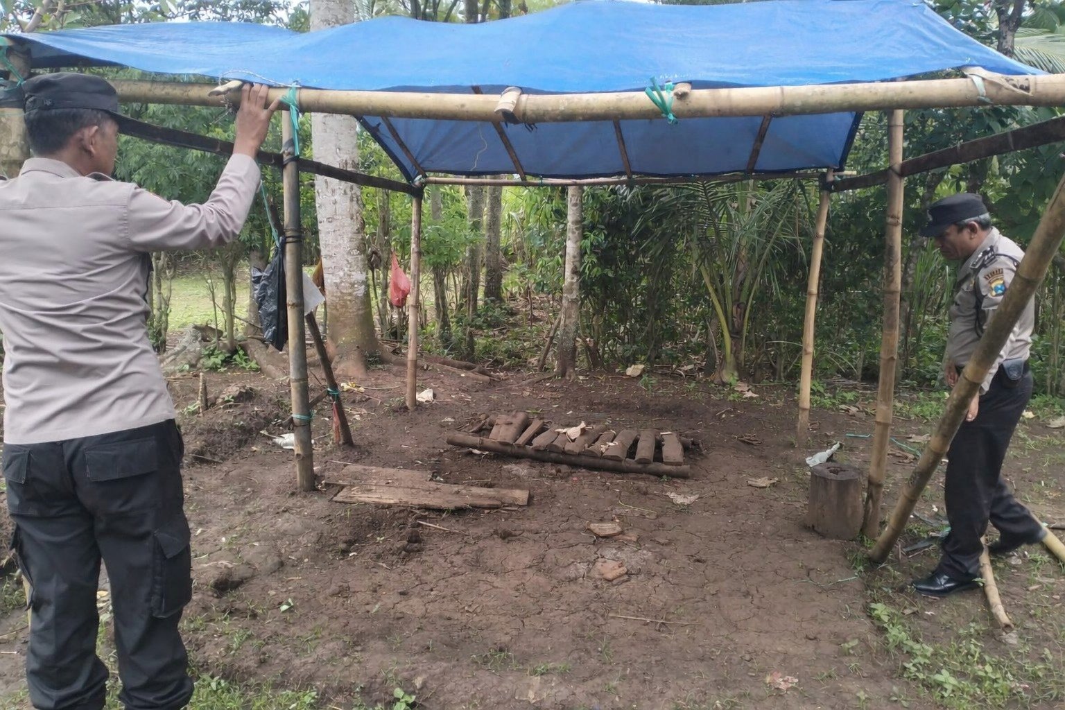 Polres Malang Bongkar Arena Judi Sabung Ayam di Kalipare