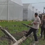 Polije Bangun Tembok Pembatas Lebih Kokoh Pasca Banjir Jember