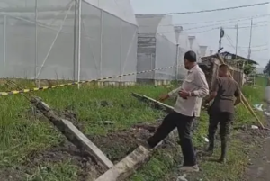 Polije Bangun Tembok Pembatas Lebih Kokoh Pasca Banjir Jember