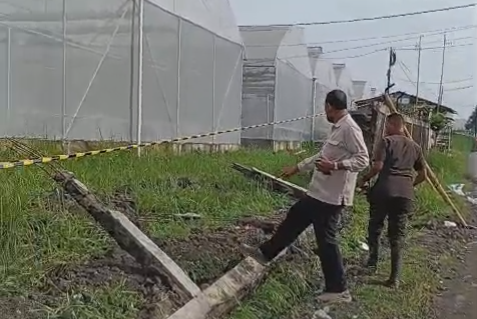 Polije Bangun Tembok Pembatas Lebih Kokoh Pasca Banjir Jember