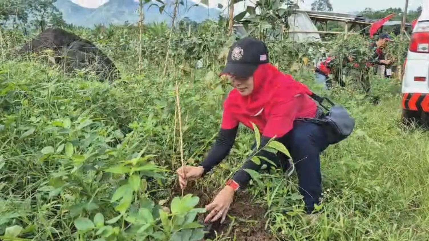 HUT ke-53, PDI Perjuangan Jember Tanam 1.053 Pohon Berlandaskan Tri Hita Karana