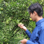 Polije Hadirkan Paket Agrowisata Edukatif di Tengah Kota Jember