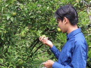 Polije Hadirkan Paket Agrowisata Edukatif di Tengah Kota Jember