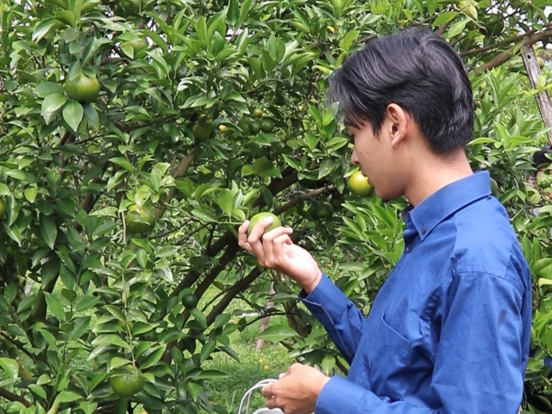 Polije Hadirkan Paket Agrowisata Edukatif di Tengah Kota Jember