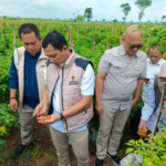 Jelang Idul Fitri Satgas Saber Pangan Pusat Pastikan Stok Komoditas di Jatim Aman
