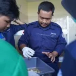 Politeknik Negeri Jember Dorong Kampus Hijau Melalui Pengolahan Limbah Maggot