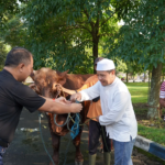 Polije Terapkan Konsep Kurban Hijau Tanpa Plastik