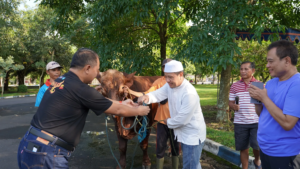 Polije Terapkan Konsep Kurban Hijau Tanpa Plastik