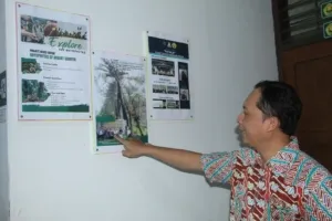 Dosen FMIPA UNEJ Teliti Obat Dari Paku Pohon