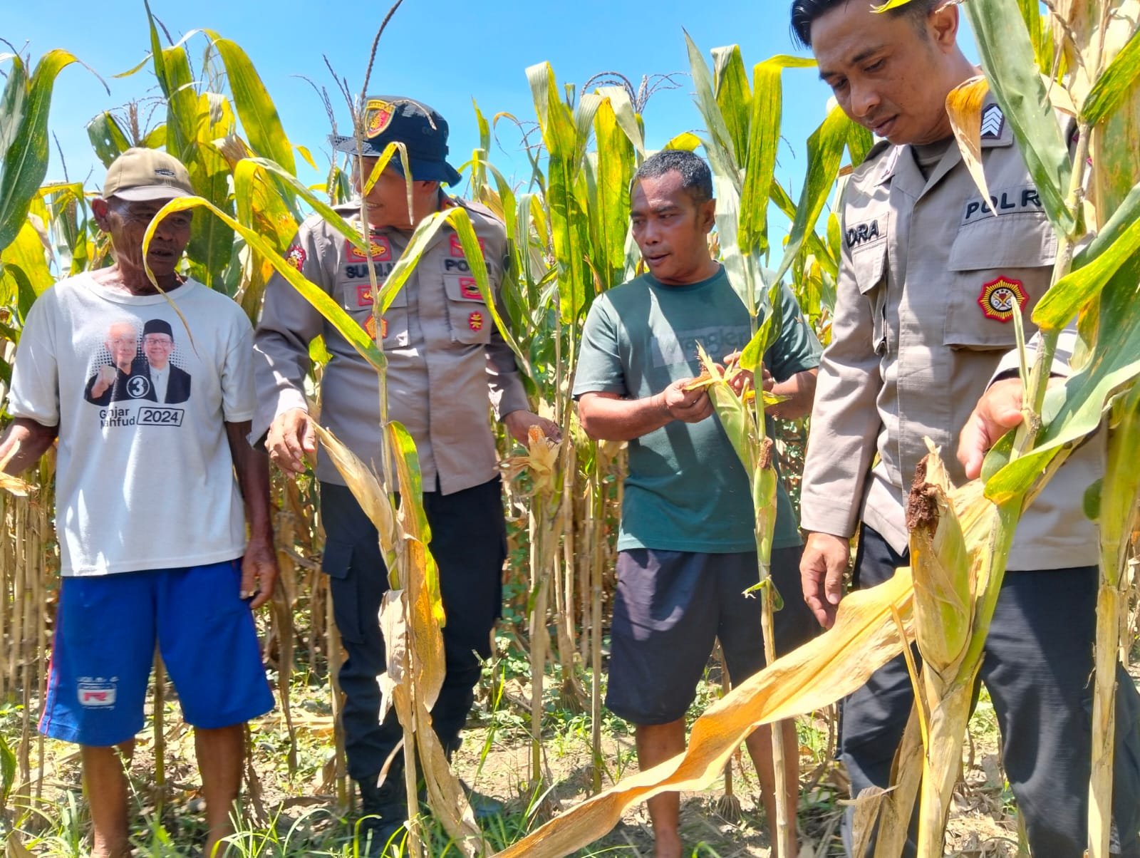 Polresta Sidoarjo Dampingi Warga Kelola Jagung Hibrida