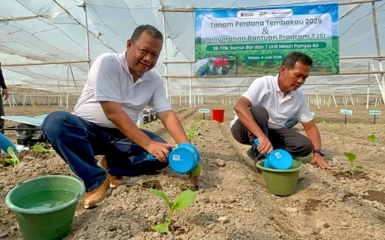 PTPN I Regional Lima Perluas Tanam Tembakau Klaten