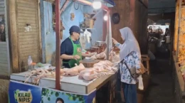 Harga Daging Ayam di Jember Turun Drastis